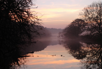 Mist over the Tees